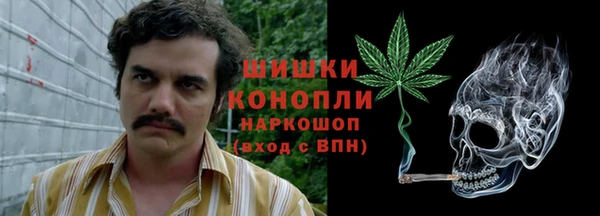 прущие грибы Каменка