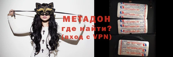 прущие грибы Каменка