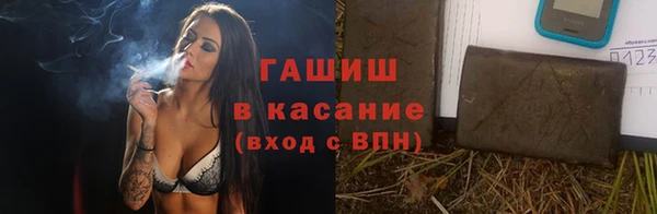 прущие грибы Каменка