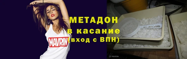 прущие грибы Каменка