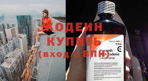 прущие грибы Каменка
