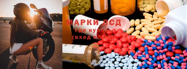 прущие грибы Каменка