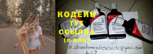 прущие грибы Каменка