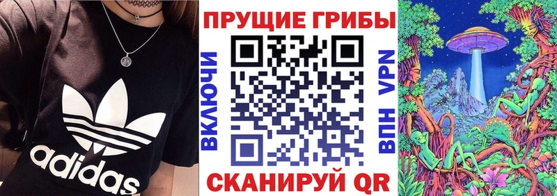 hydra ТОР  Кызыл  Галлюциногенные грибы мухоморы 